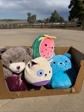 Squishmallows Plush Set - Pink Watermelon, Blue Seal, Cream Cat, Brown Bear